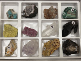 Verzameldoos met 12 stenen