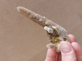 Feeënkwarts of heksenvinger uit Afrika