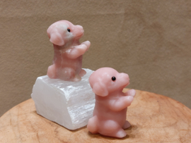 Roze calciet hond