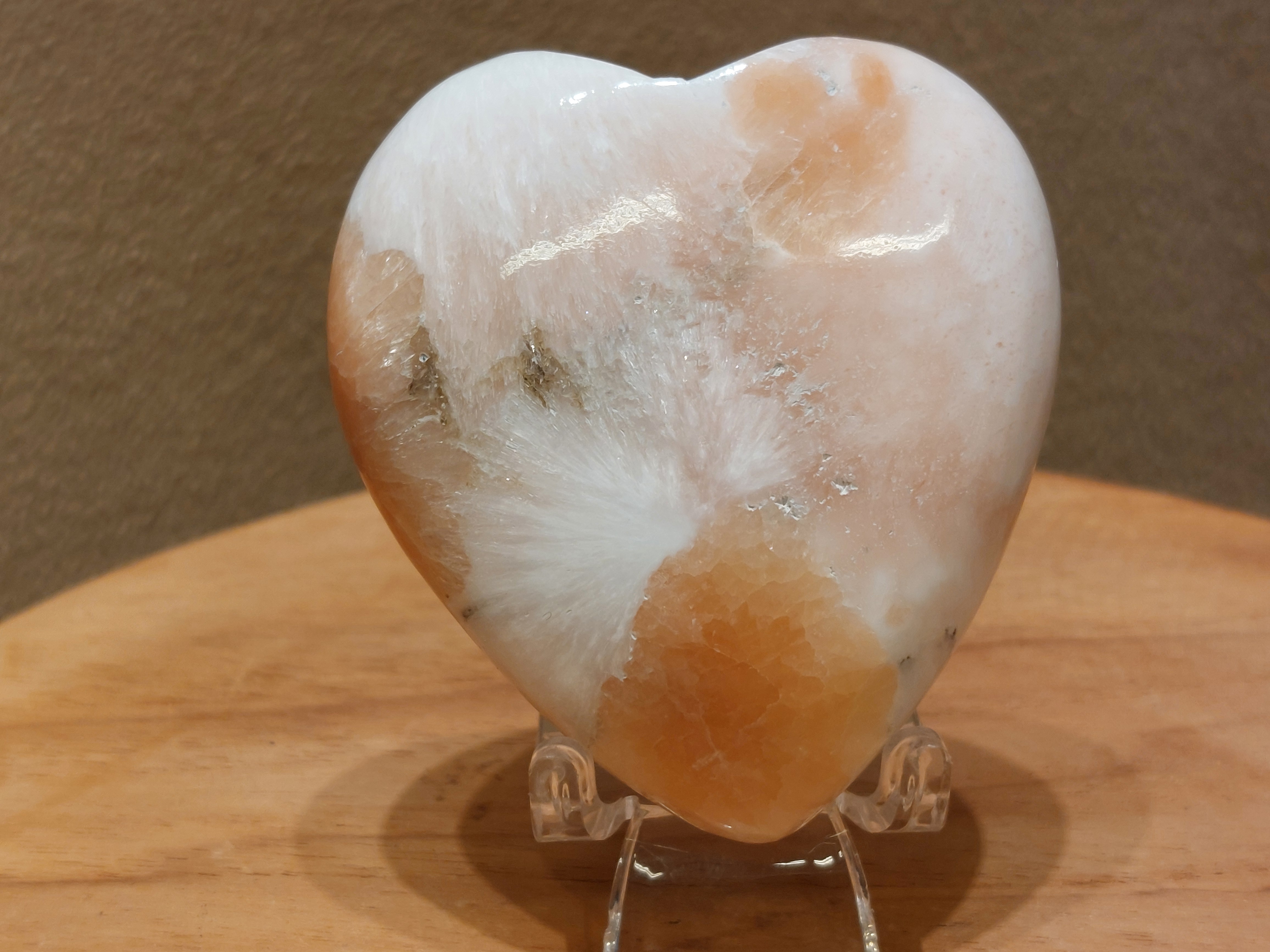 Scolesiet met stilbiet hart