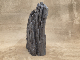 Versteend hout van de sequoia boom of mammoetboom, Duitsland