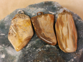 Versteend hout hanger