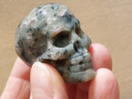 Kiwi jaspis human skull