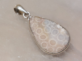 Fossiel koraal hanger in zilver
