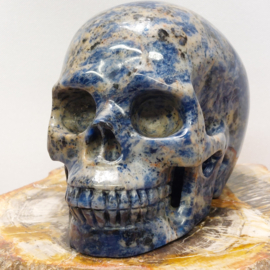 Sodaliet human skull