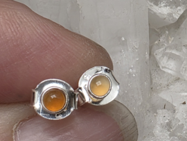 Carneool oorbellen in zilver