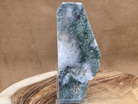 Mosagaat schijf/plak