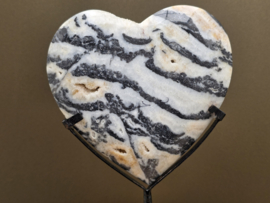 Zebra calciet hart uit Indonesië op standaard