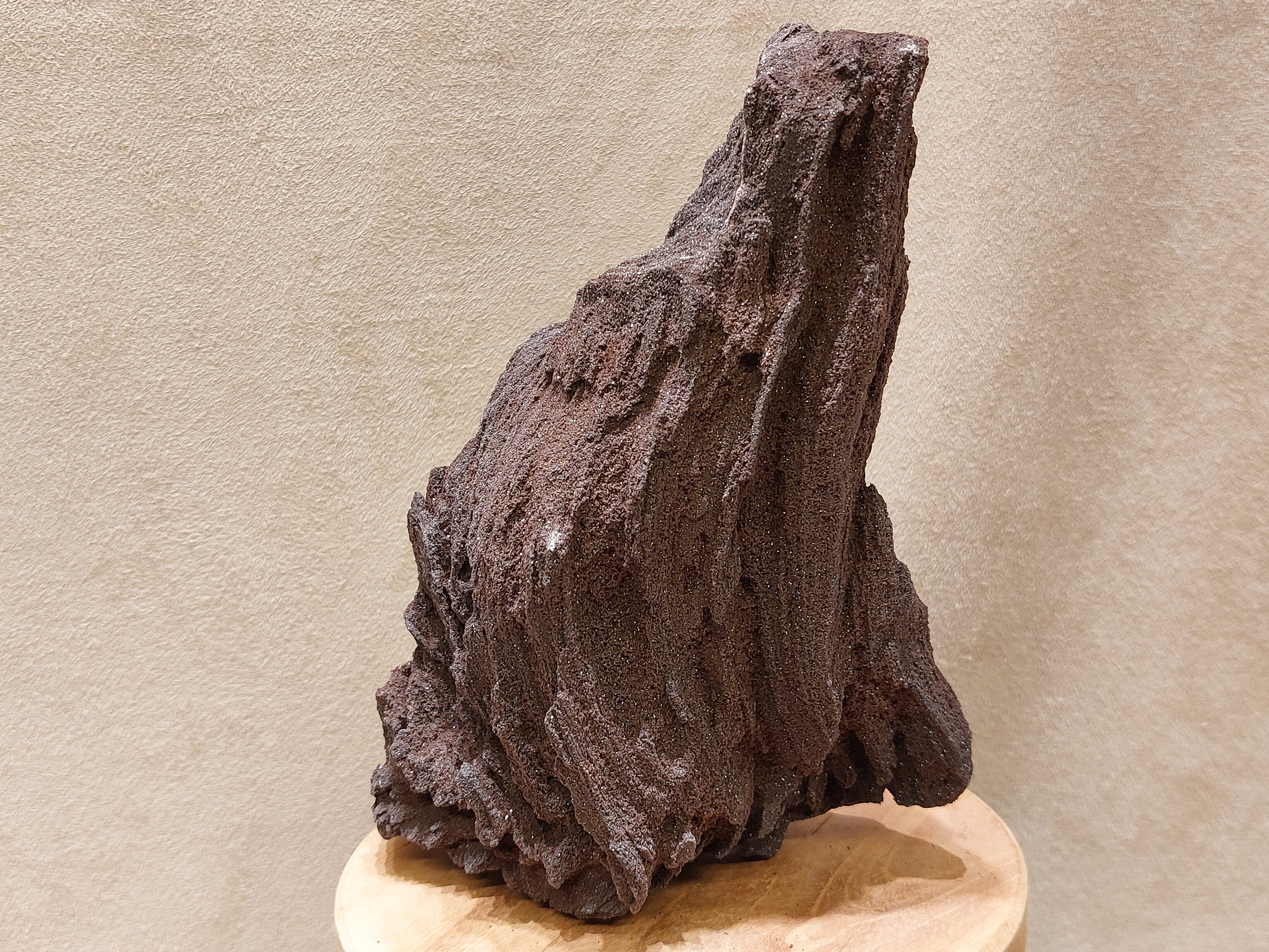 Versteend hout van de sequoia boom of mammoetboom, Duitsland