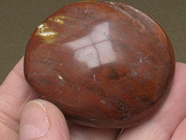 Versteend hout handsteen