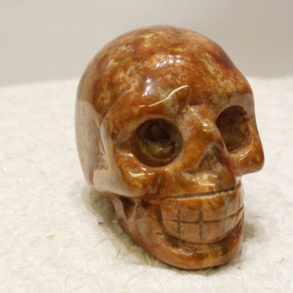 Oceaan jaspis human skull