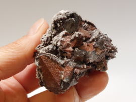 Snow calciet/calciet met aragoniet cluster uit Mexico