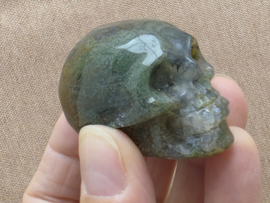 Mosagaat human skull