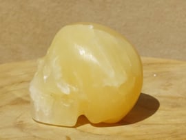 Oranje calciet human skull