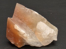 Mariposa calciet uit Mexico