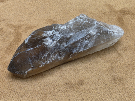 Rookkwarts punt lemurisch uit Brazilië