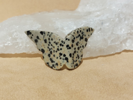 Dalmatiër jaspis vlinder