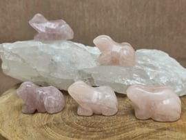 Rozenkwarts kikker