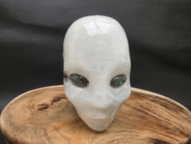 Mosagaat elfen being met labradoriet ogen