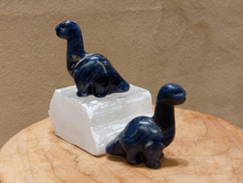 Sodaliet dino