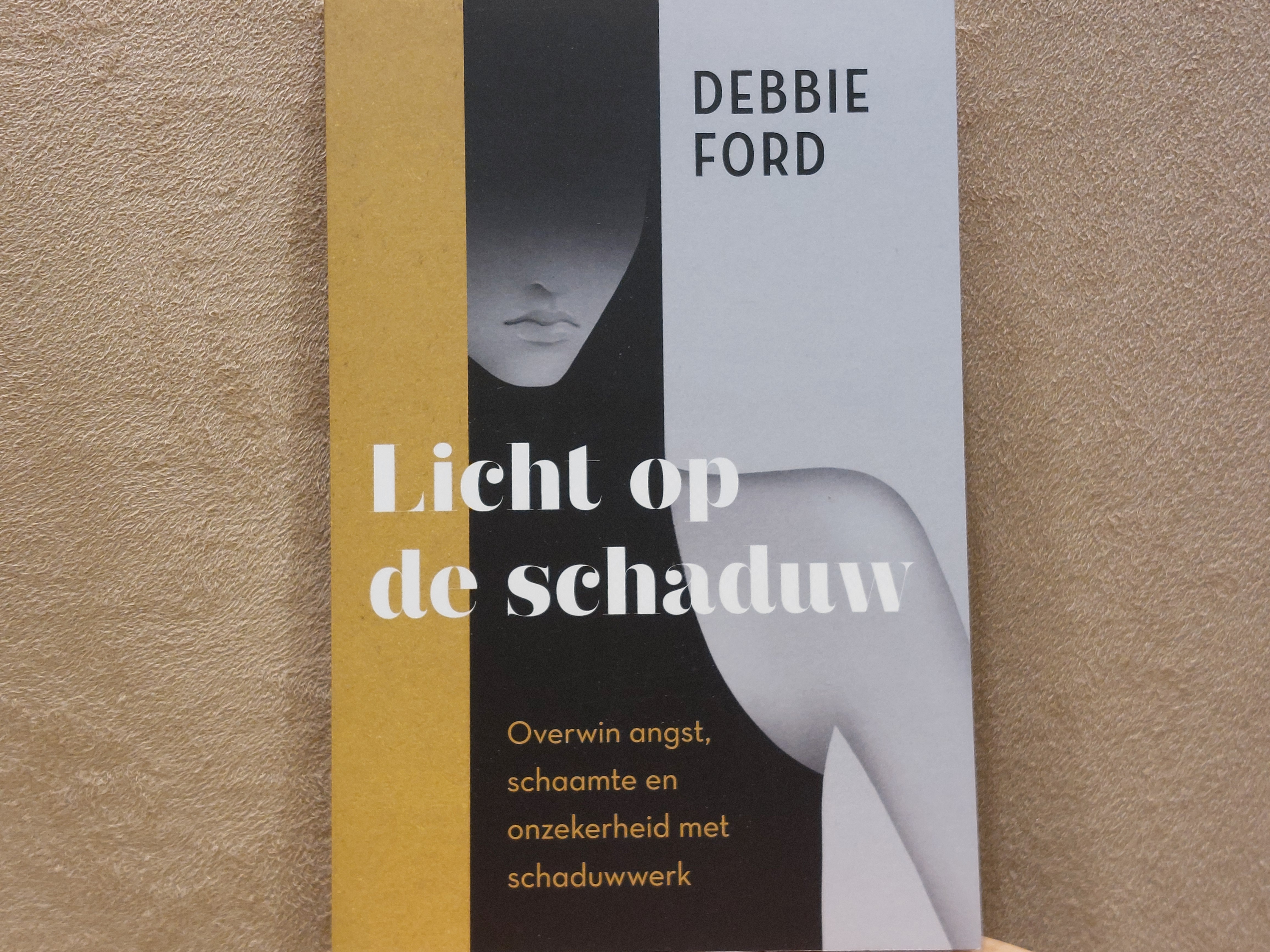 Licht op de schaduw, boek