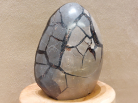Wilde septarie sculptuur