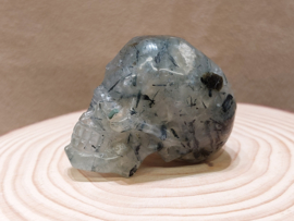 Prehniet human skull