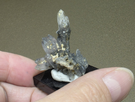 Black phantom kwarts, Vera Cruz, Mexico