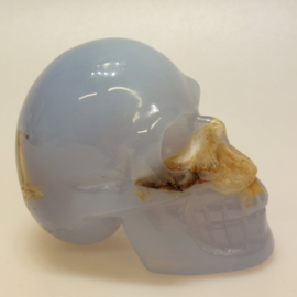 Blauwe chalcedoon human skull