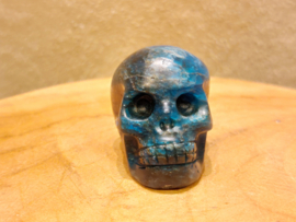Apatiet human skull