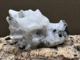 Regenboog maansteen draak