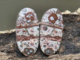 Luipaard jaspis cabochons set van 2