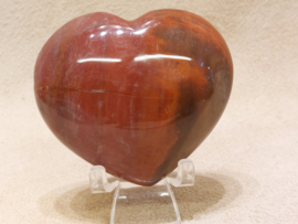Versteend hout hart