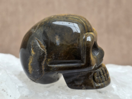 Tijgeroog human skull