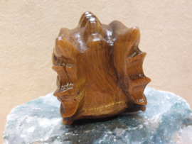 Tijgeroog draak