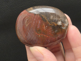 Versteend hout handsteen