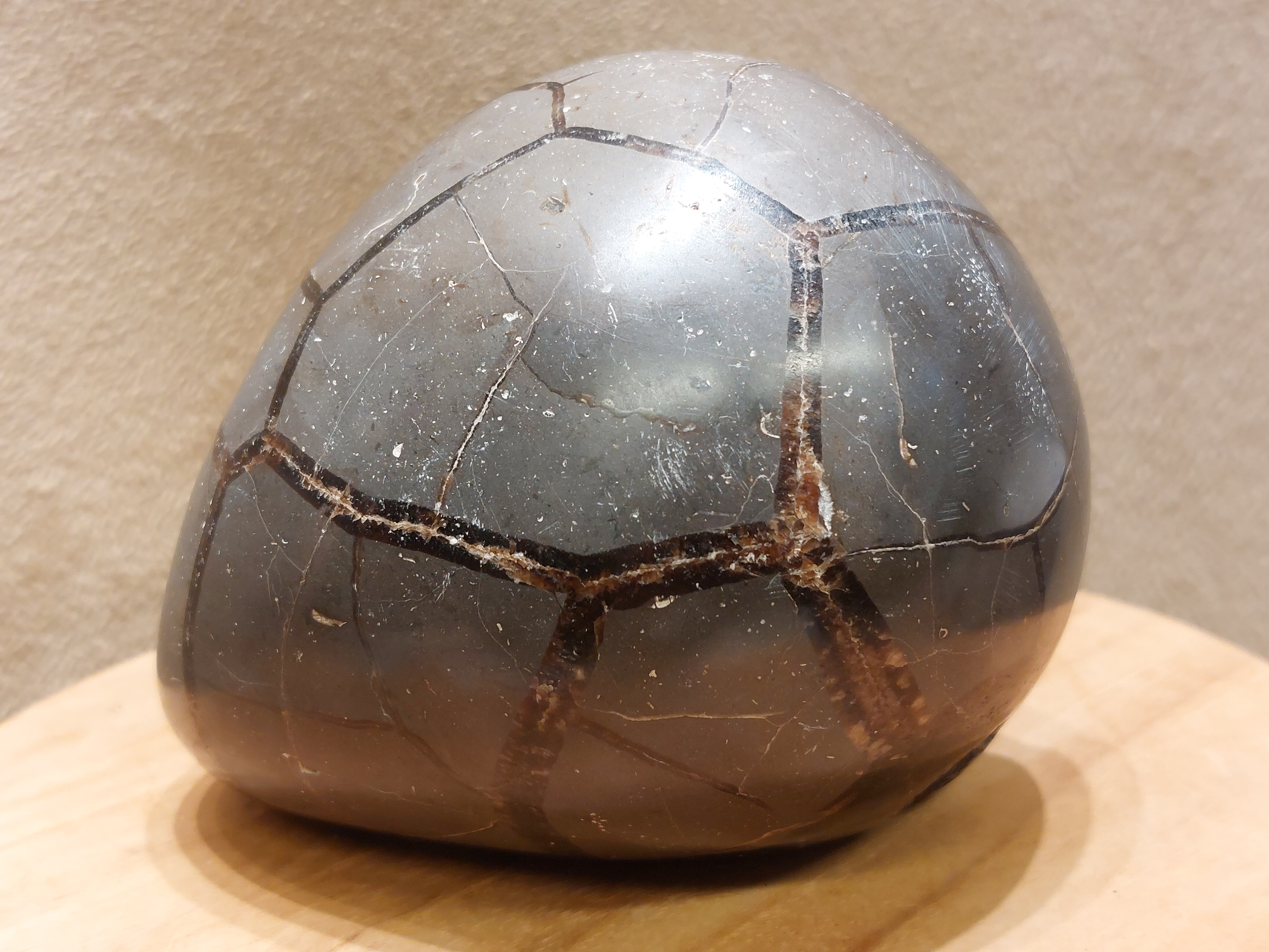 Wilde septarie sculptuur