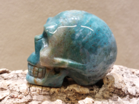 Oceaan jaspis human skull
