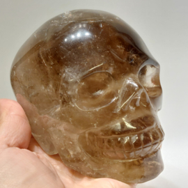 Rookkwarts human skull