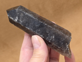 Rookkwarts punt lemurisch uit Brazilië