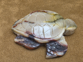 Mookaiet schildpad