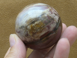 Versteend hout bol