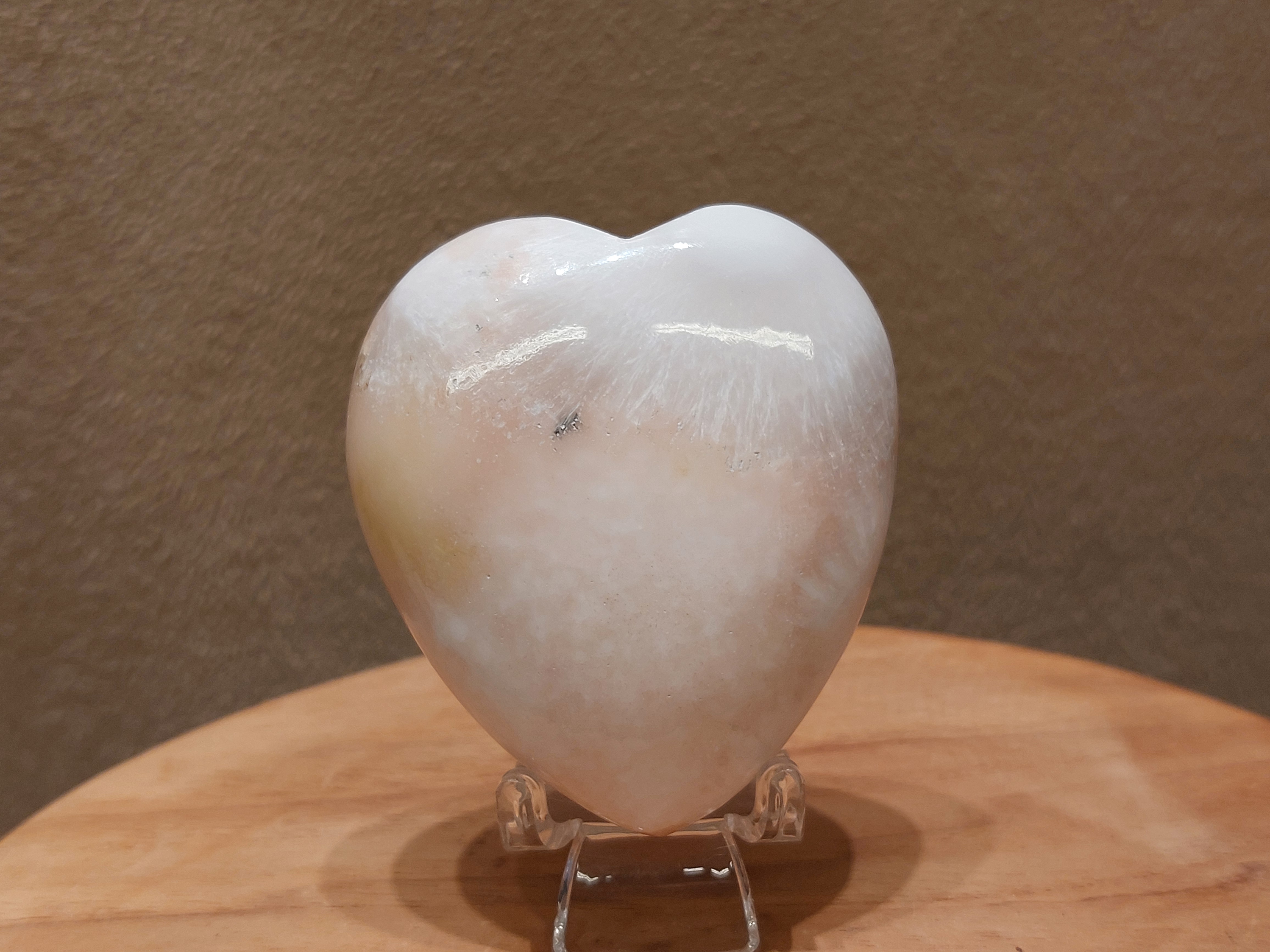 Scolesiet met stilbiet hart