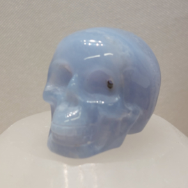 Blauwe chalcedoon of blue lace agaat human skull