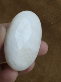 Scolesiet handsteen