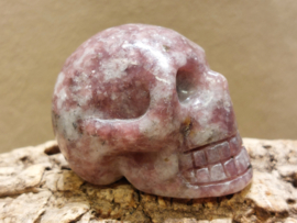 Lepidoliet human skull
