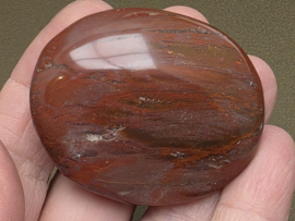 Versteend hout handsteen