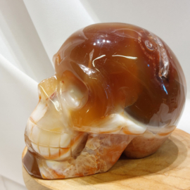 Carneool human skull