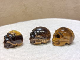 Tijgeroog skullie