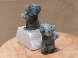 Kiwi jaspis hond